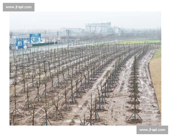 河道资源竞争与流域管理冲突的原因及解决策略探索